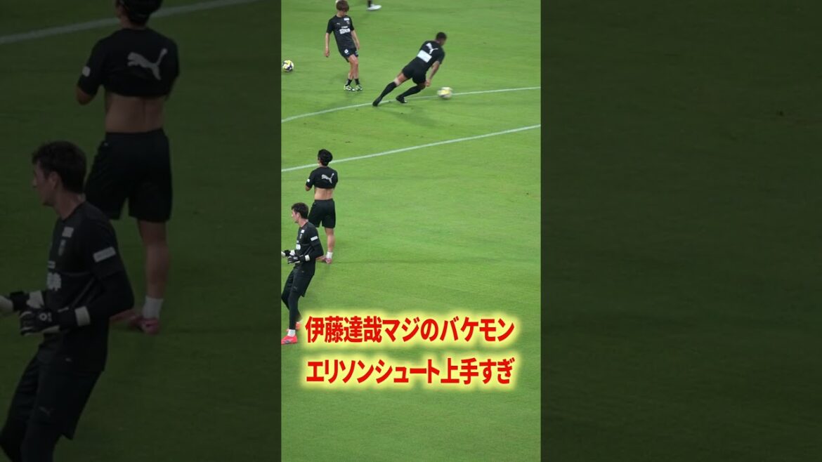 Elias x Ellison different dimension