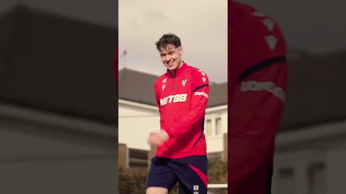 "End on a goal" 😂 #norway #premierleague #crystalpalace