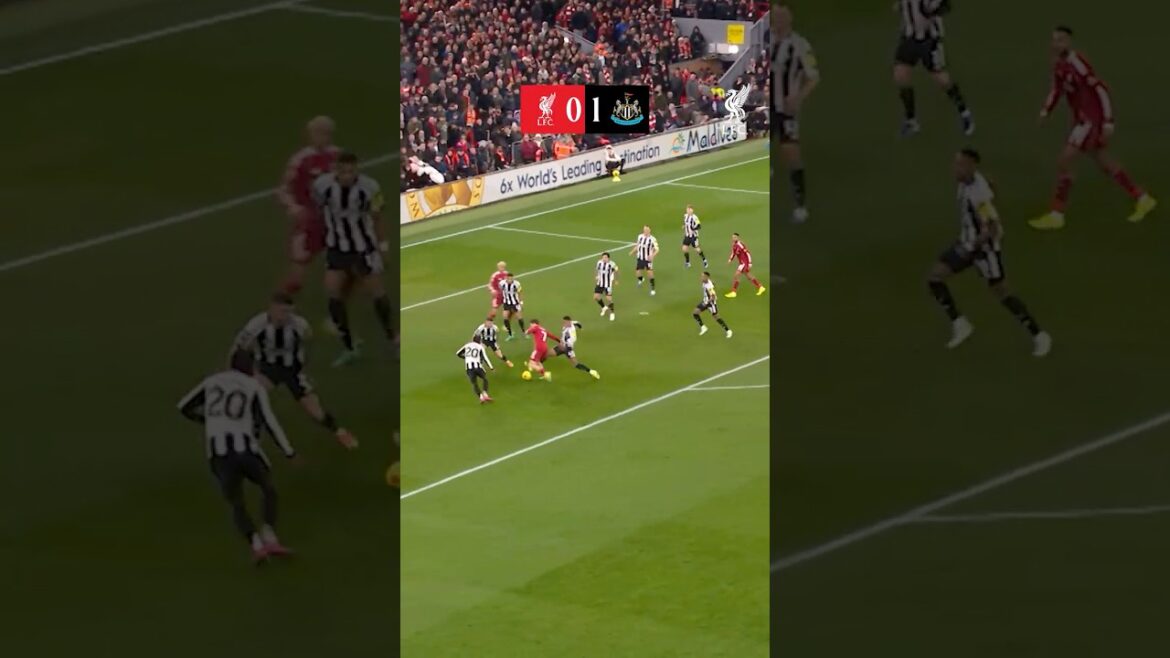 Highlights: Liverpool 4-1 Newcastle 🔴⚫️