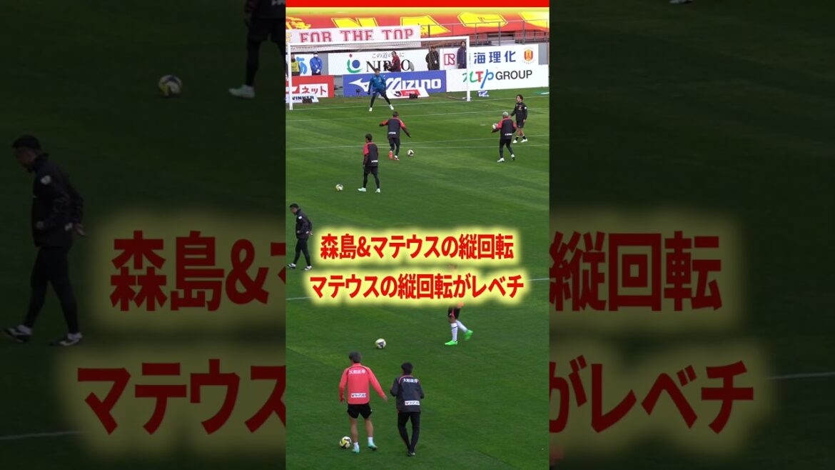 Mateus' vertical rotation is too different.