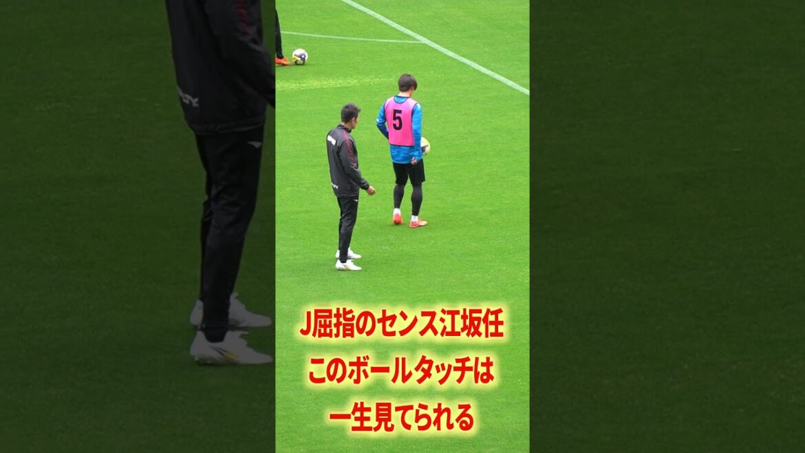 Looking forward to this season as well, Esaka x Lucao