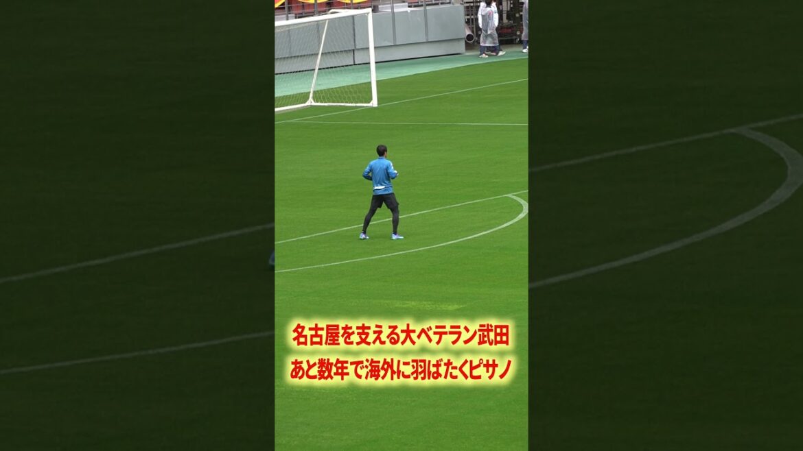 Is Schmidt the GK in the Misha style? Pisano? Takeda?