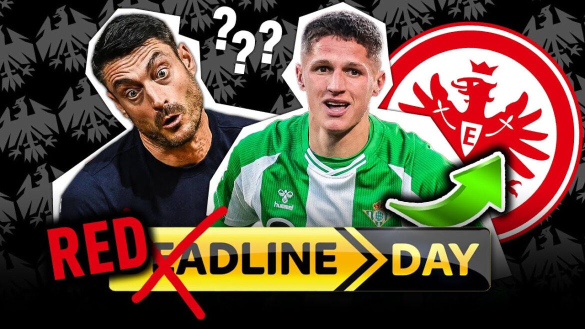 Deadline Day Special! 🔥Who will Riera bring to Eintracht Frankfurt? | Bundesliga transfers Deadline Day Special! 🔥Who will Riera bring to Eintracht Frankfurt? | Bundesliga transfers