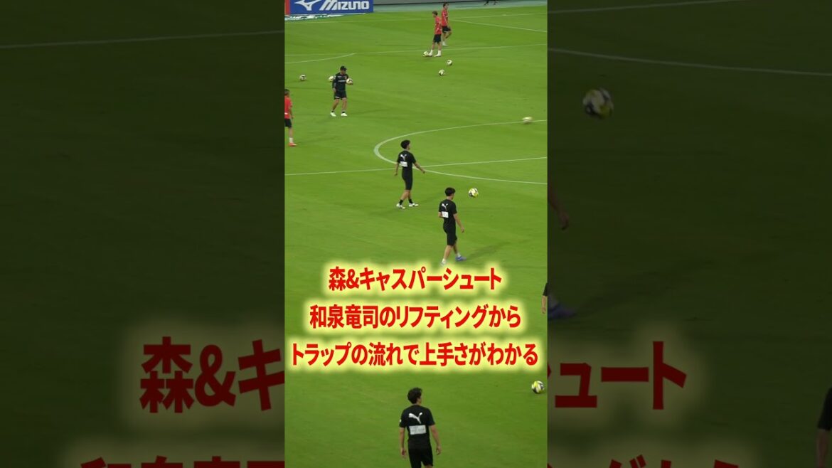 Misha style WB has high expectations for these two