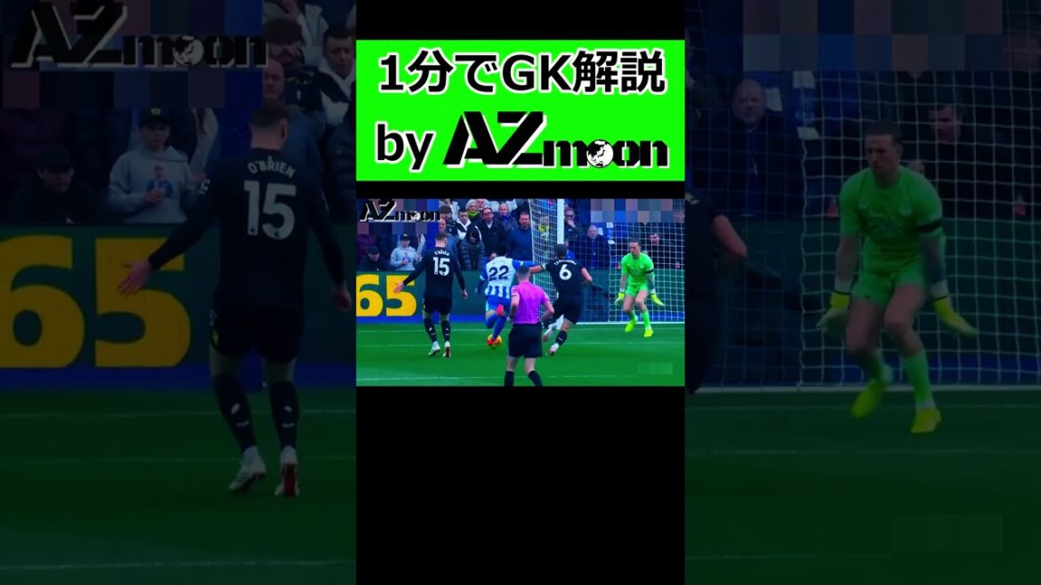 Explaining Kaoru Mitoma's play from a goalkeeper's perspective! #AZmoon #Overseas Soccer #Premier League #Soccer #Japan Soccer National Team #Goalkeeper #Kaoru Mitoma #Pickford #Brighton #Everton