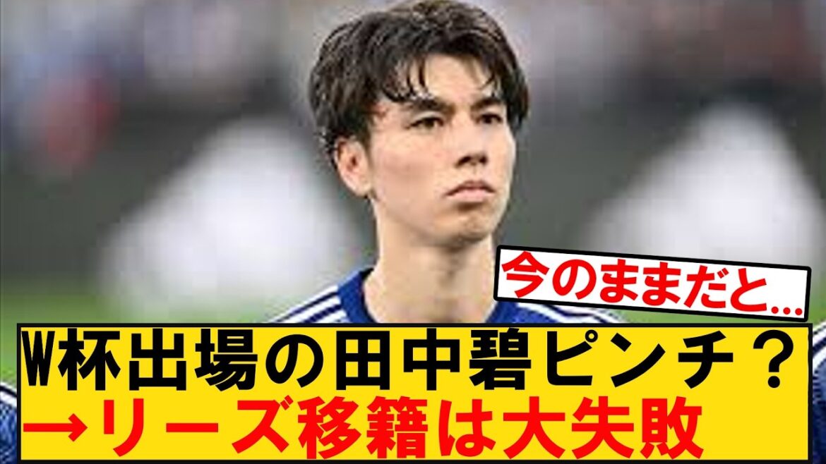 Is leaving Leeds an option for Aoi Tanaka, a member of Japan’s World Cup squad? Here is the reaction of Japanese support to players whose participation is in doubt. Is leaving Leeds an option for Aoi Tanaka, a member of Japan's World Cup squad? Here is the reaction of Japanese support to players whose participation is in doubt.