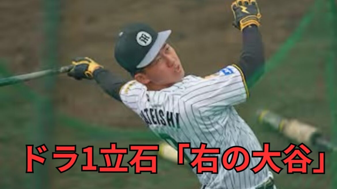 [Hanshin]Drama 1 Tateishi's swing is said to be too similar to "Shohei Otani on the right"! A non-standard aura emitted by Gushikawa. The mysterious child of three competing teams is finally unveiled.