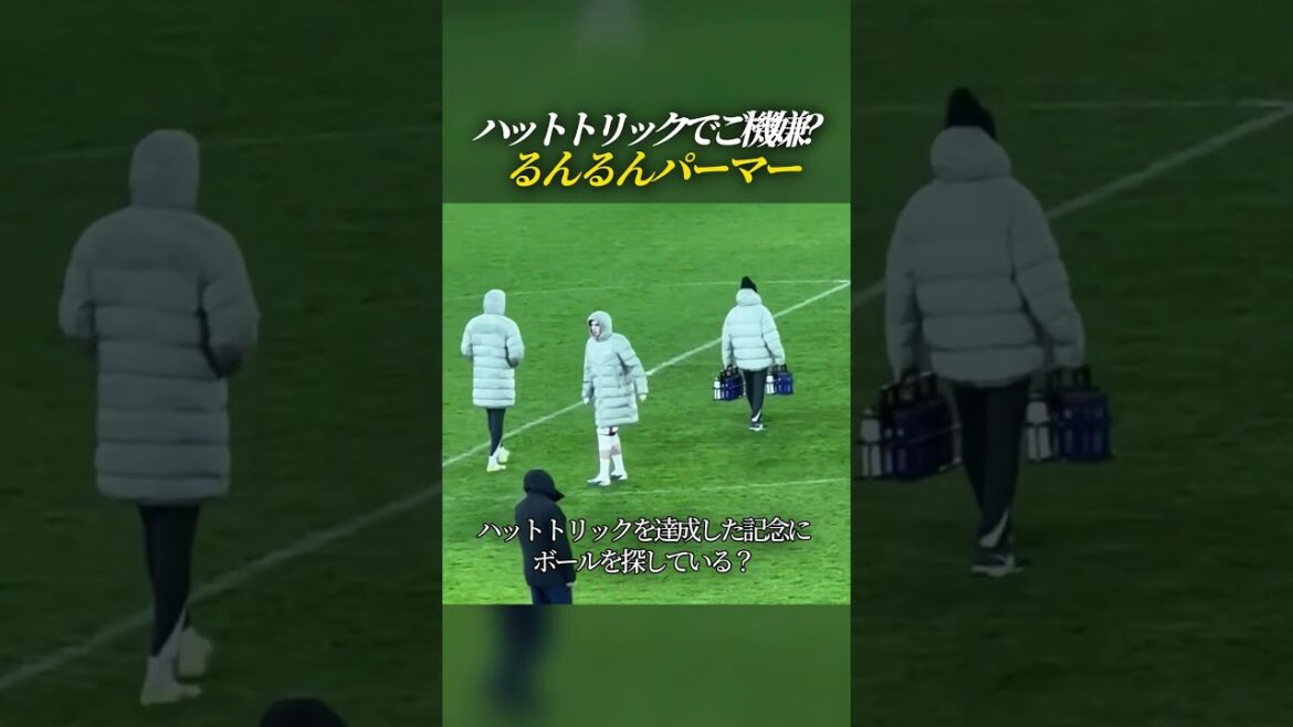 Palmer looks happy after completing his hat trick.