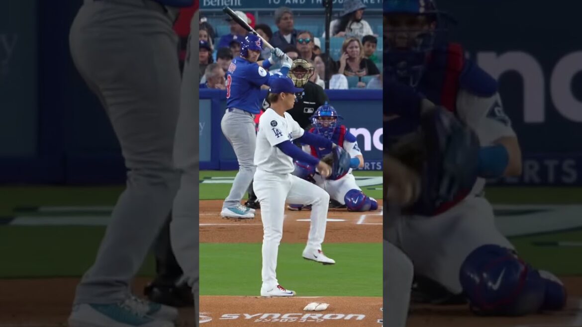 Two Samurai, One Dream: The Story of Shohei Otani and Yoshinobu Yamamoto