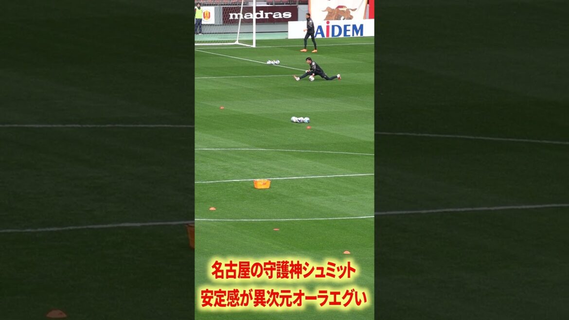 Nagoya's guardian deity Schmidt Daniel