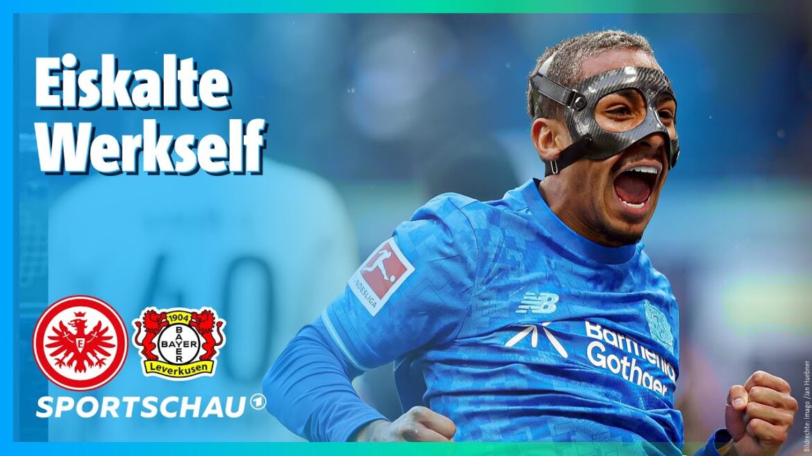 Eintracht Frankfurt - Bayer 04 Leverkusen Highlights Bundesliga, Matchday 20 | Sports show football