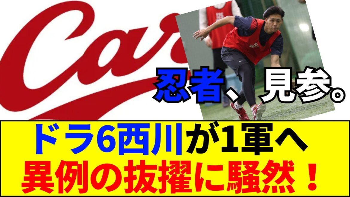 [Breaking news][Carp earthquake]Dora 6 Atsumu Nishikawa joins the 1st team in an unusual way! A debate erupts on the Internet about whether it's "the second coming of Seiya Suzuki" or "just student mobilization"[Internet reaction]