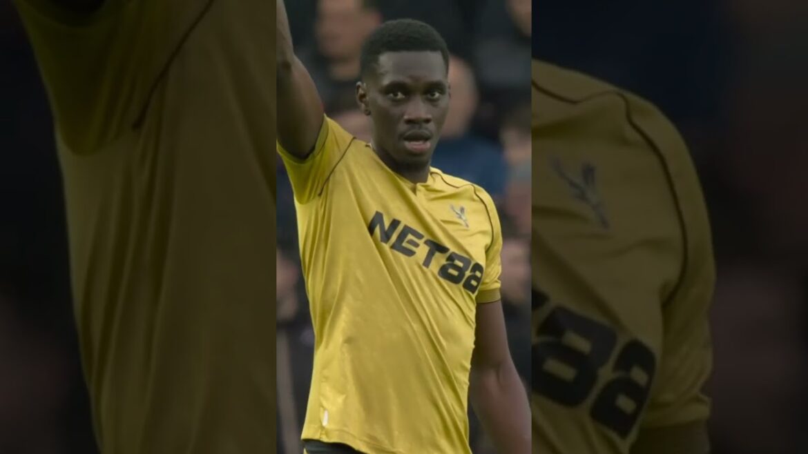 WHAT. A. WIN. #brighton #premierleague #crystalpalace