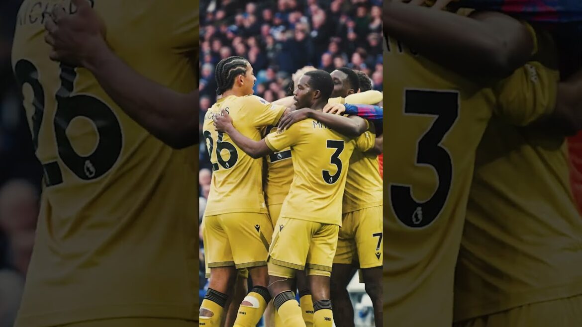 Pitchside 🎥 #ismailasarr #senegal #premierleague