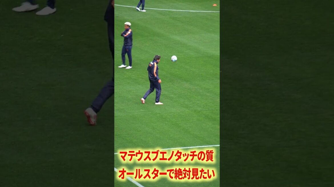 Quality of Mateus Bueno Touch