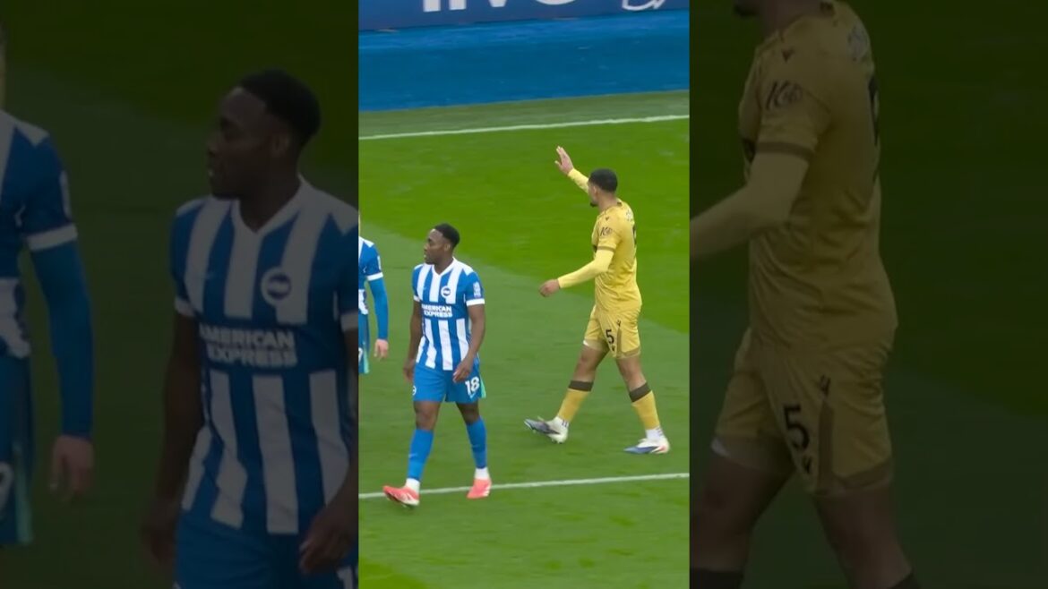 Nothing wrong with that  #football #crystalpalace #soccer