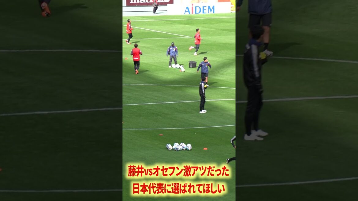 Fujii has the potential to be selected for the Japan national team