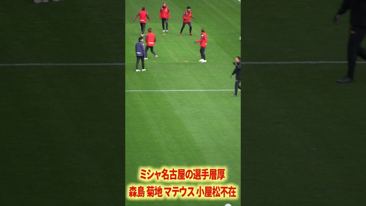 Misha Nagoya's player base is too hot