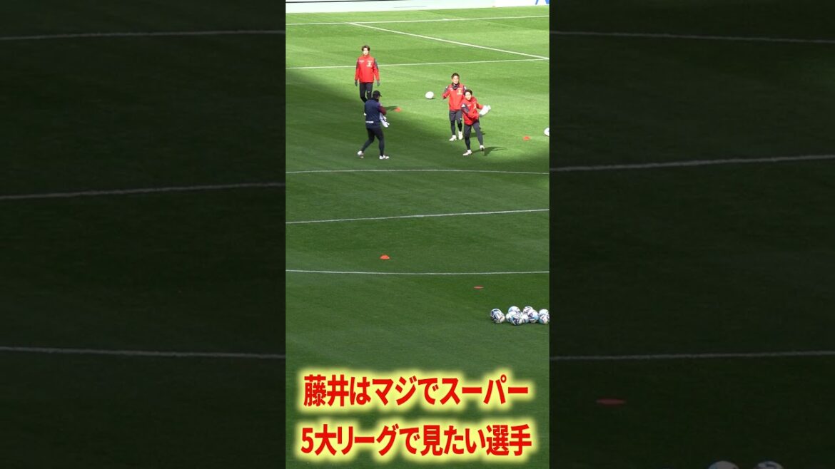 I want to see Fujii in the 5 major leagues.