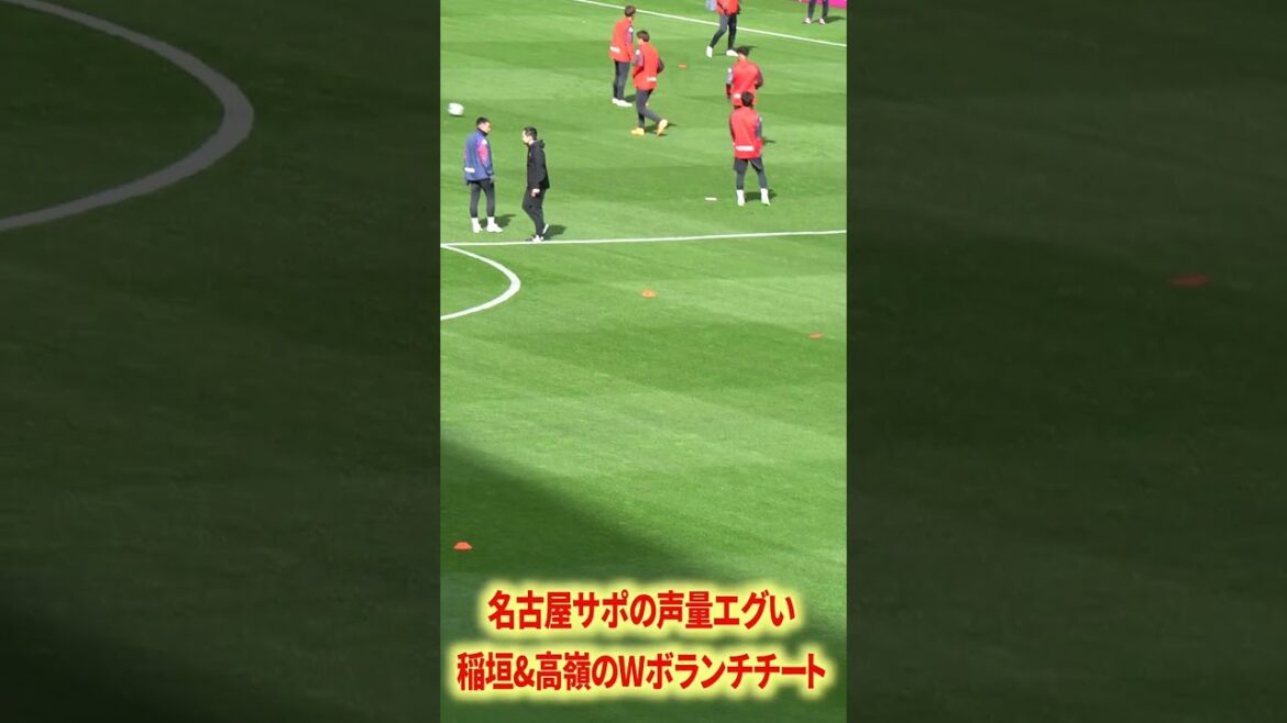 Inagaki & Takamine cheated too much