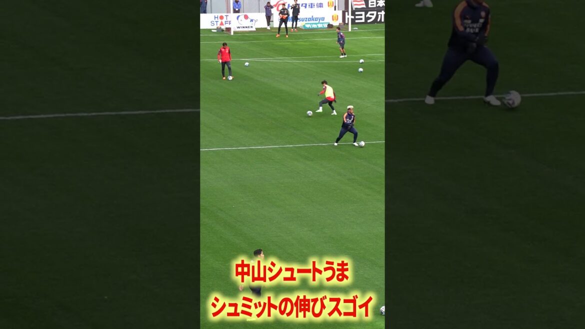 Schmidt's growth is amazing