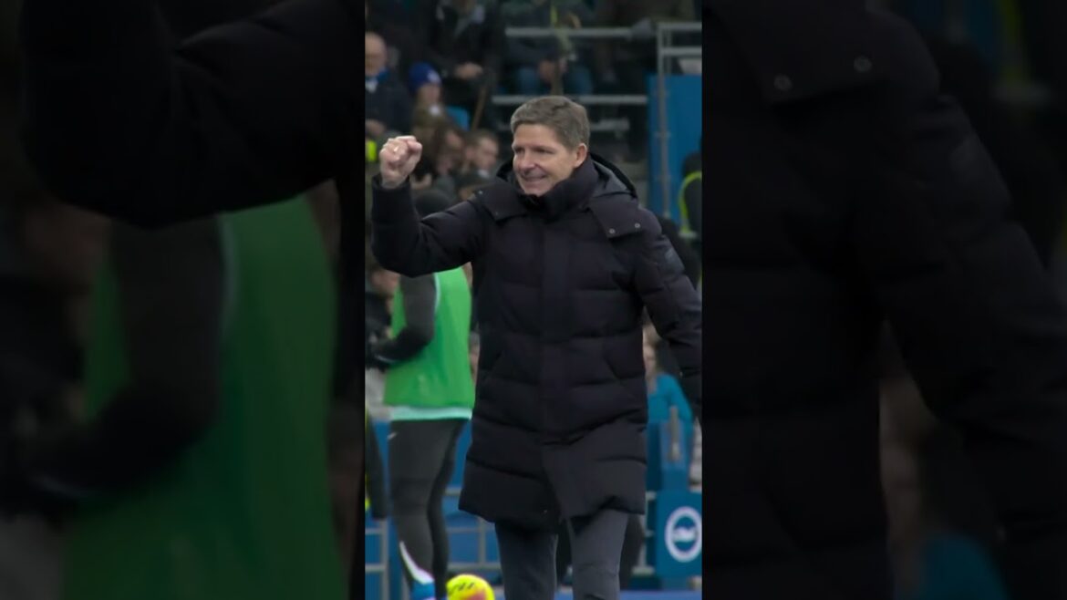 What it means! #crystalpalace #premierleaguehighlights #soccer