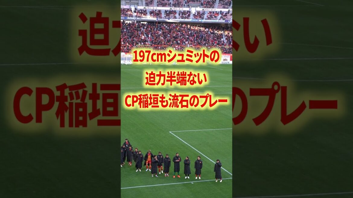 197cm Schmidt Daniel expected to return to national team