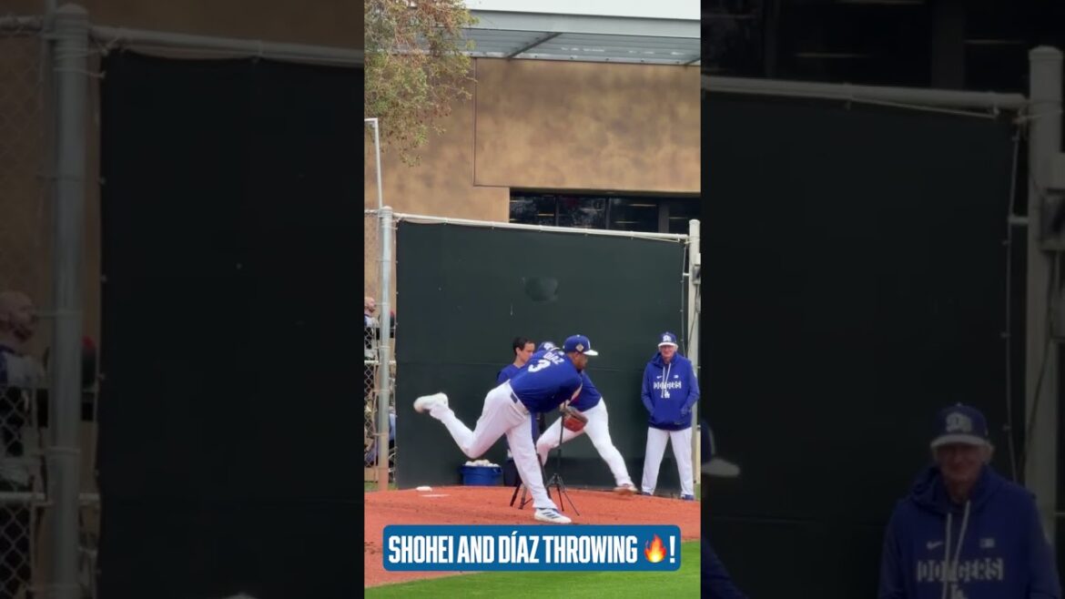 Cue the trumpets ... it's almost time to enjoy the Sho! 👀