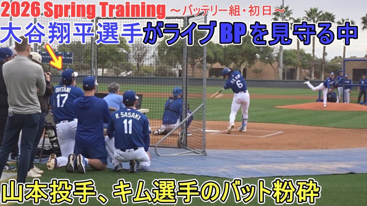 Watching pitcher Yoshinobu Yamamoto's live BP with pitcher Aki Sasaki[Shohei Ohtani]~ Battery group, first day ~ Shohei Ohtani 2026 Spring Training