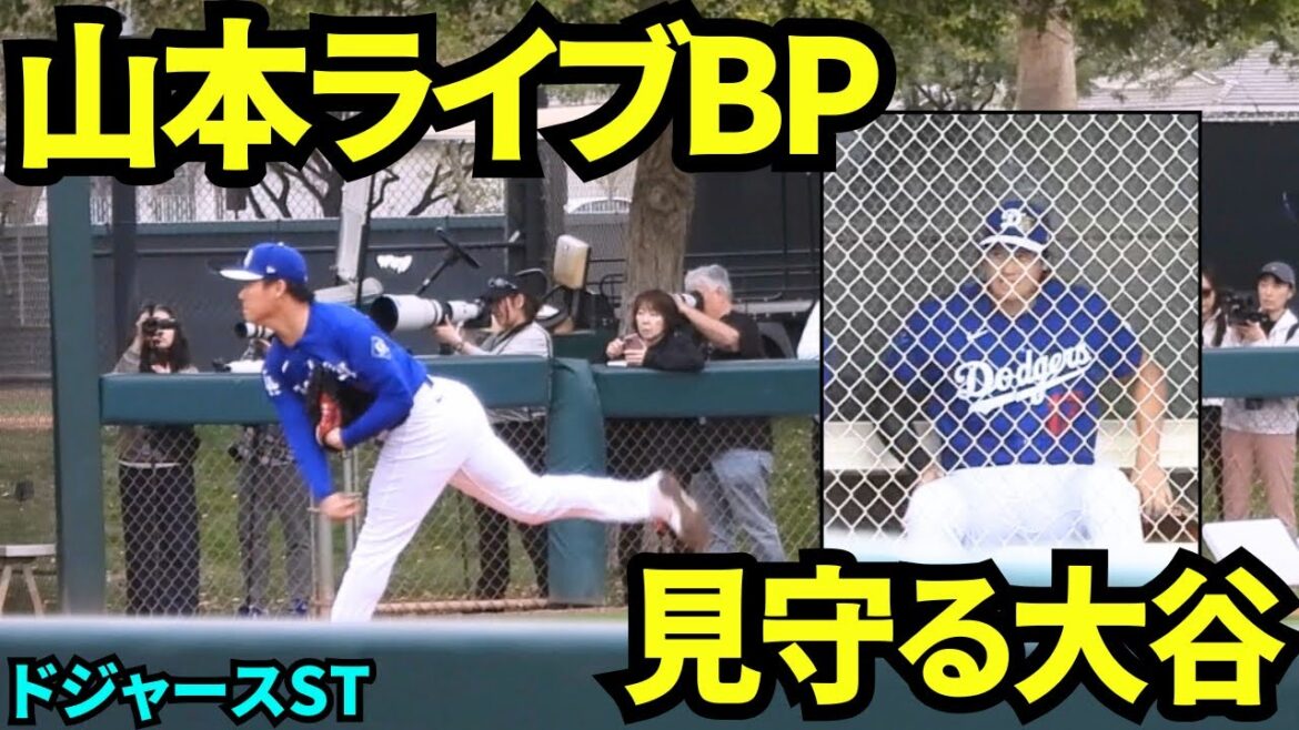 Yoshinobu Yamamoto participates in the first live BP of the season! ! I came to see Shohei Otani Momo Yamamoto's live BP! ! I tried to watch from the bench, but I moved to a special seat and watched with Aki Sasaki[Local video]February 13, 2026 Spring training camp