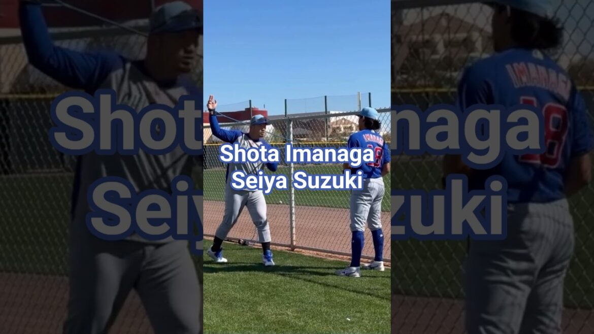 Shota Imanaga Seiya Suzuki Shota Imanaga Seiya Suzuki