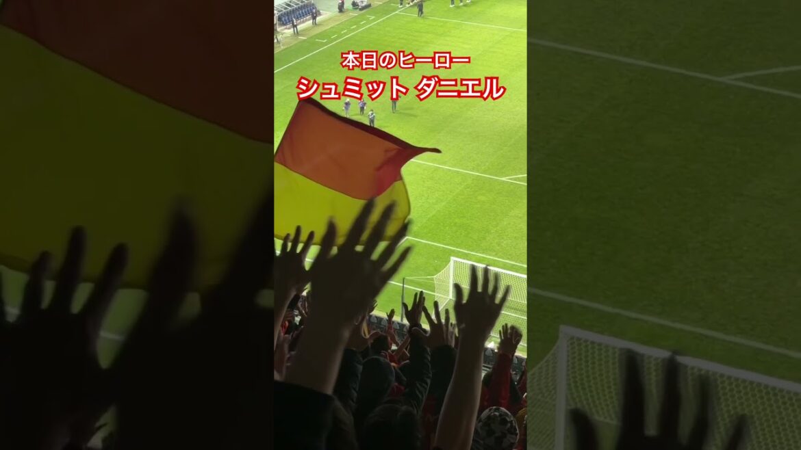 [Today's hero]PK stopper Schmidt Daniel