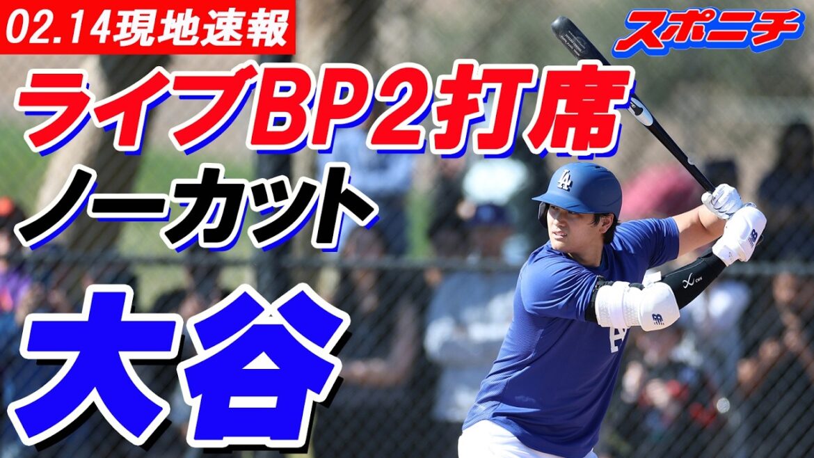 [Shohei Otani February 14 local news]Shohei Otani's first live BP 2 at-bat uncut