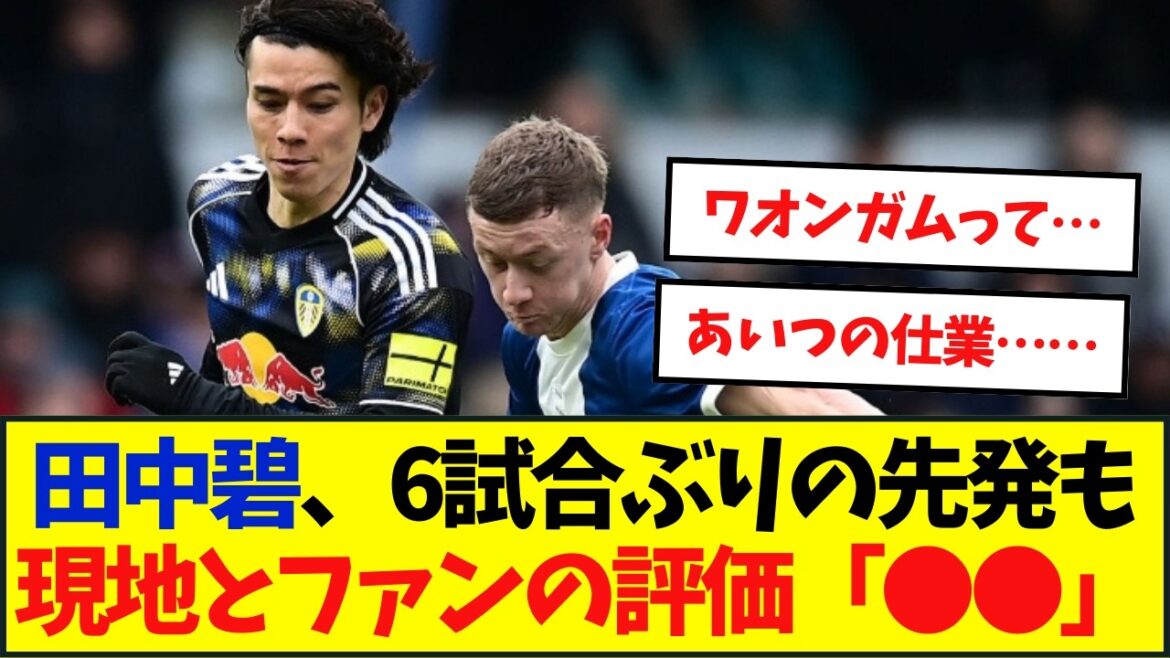 Aoi Tanaka is evaluated by local media...