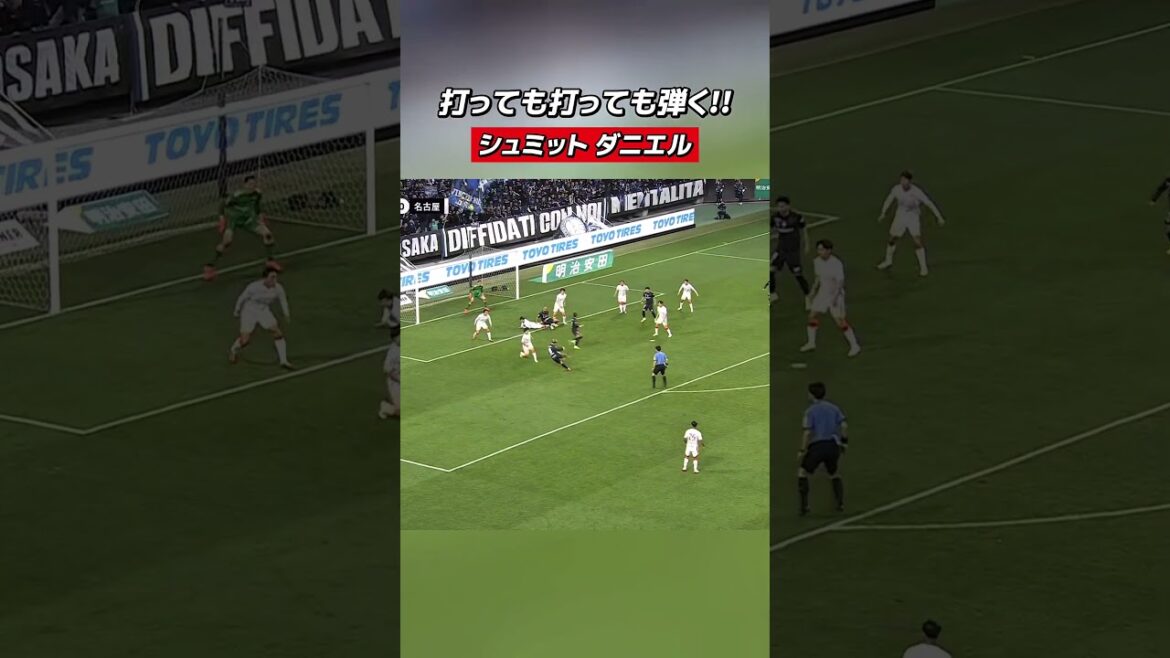 He plays it no matter how hard it is 🔥 Nagoya’s guardian angel #Schmidt Daniel He plays it no matter how hard it is 🔥 Nagoya's guardian angel #Schmidt Daniel