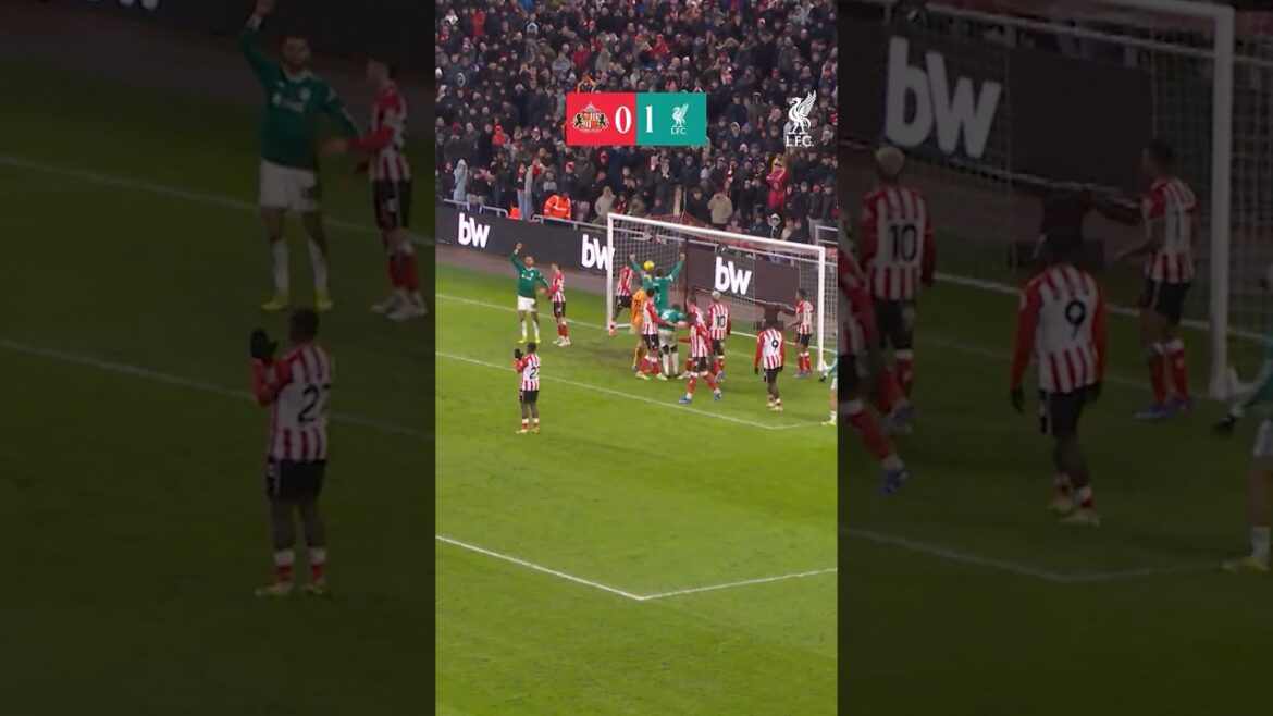 Highlights: Sunderland vs Liverpool