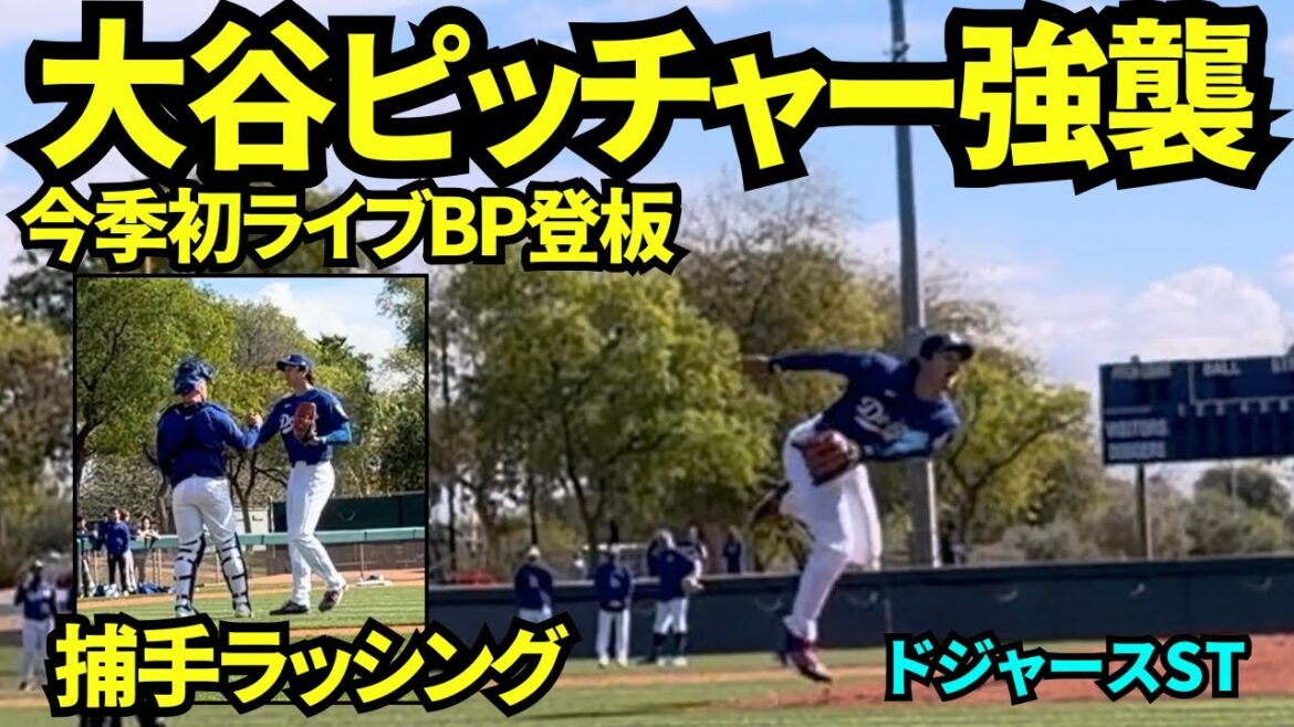 Shohei Otani's fastest 98 mile live BP! Face off against Siani, Teoscar, Pagés, and Tucker! ! Siani's batted ball looked like it was going to hit Otani directly...! ![Local footage]February 17, 2026 Spring Camp