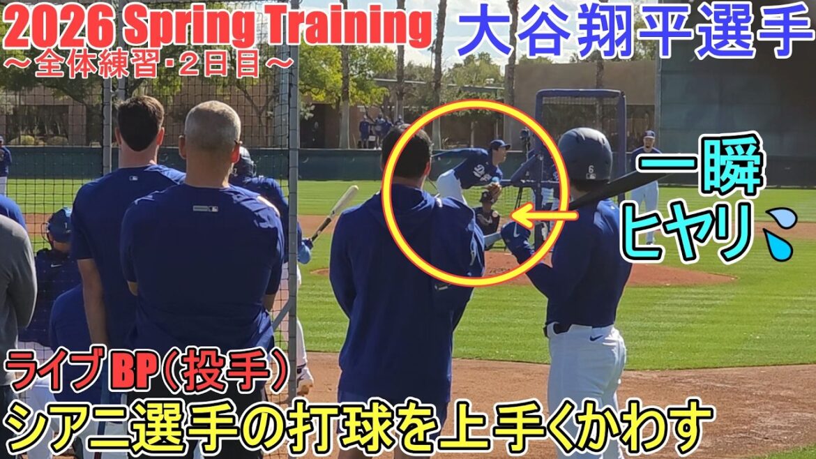 Live BP (Pitcher) ♦ 18 pitches, 2 strikeouts, 1 hit against 4 batters ♦[Shohei Ohtani]~ Whole practice / Day 2 ~ Shohei Ohtani 2026 Spring Training