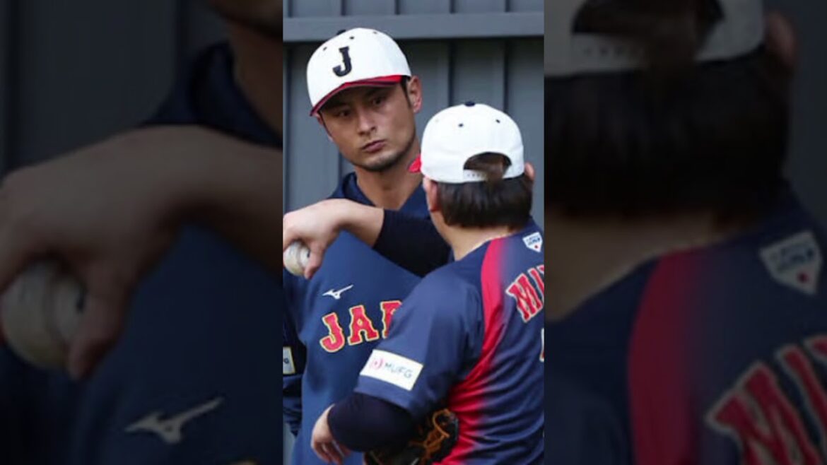 #Yu Darvish #Samurai Japan #WBC #World Baseball Classic #Japan National Baseball Team #Japan National Team #No. 1 in the World #Baseball News #Professional Baseball #MLB #Major League #Pitching Staff #National Training Camp #Baseball Analysis #Ball Distribution #Pitching