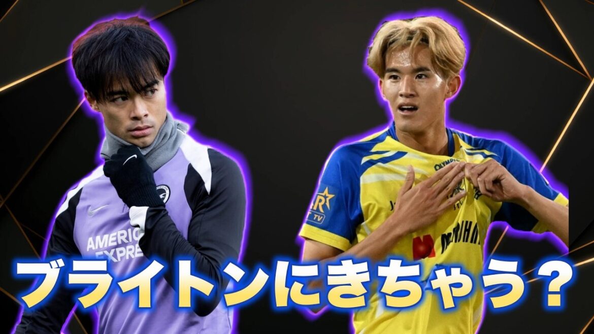 Keisuke Goto Brighton rumors? ? ? (Credibility is almost 0ww)