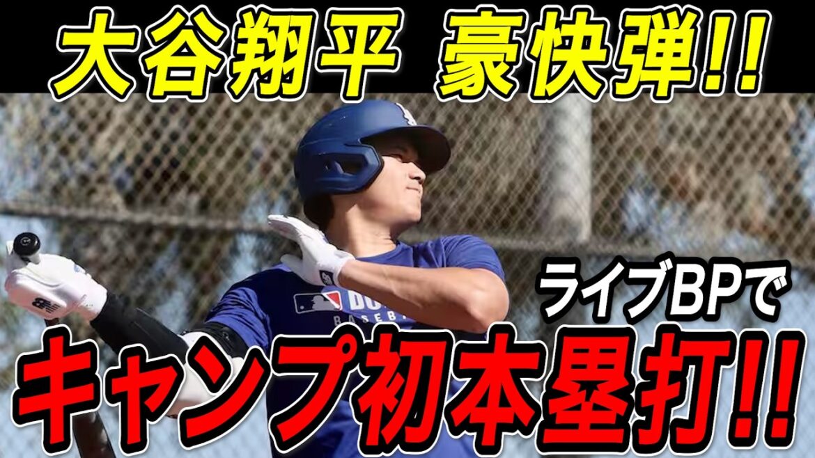 Shohei Otani hits the back screen in live BP! ! First home run of 2026 camp! Dodgers Camp[February19][MLB/Shohei Otani/Overseas Reaction]