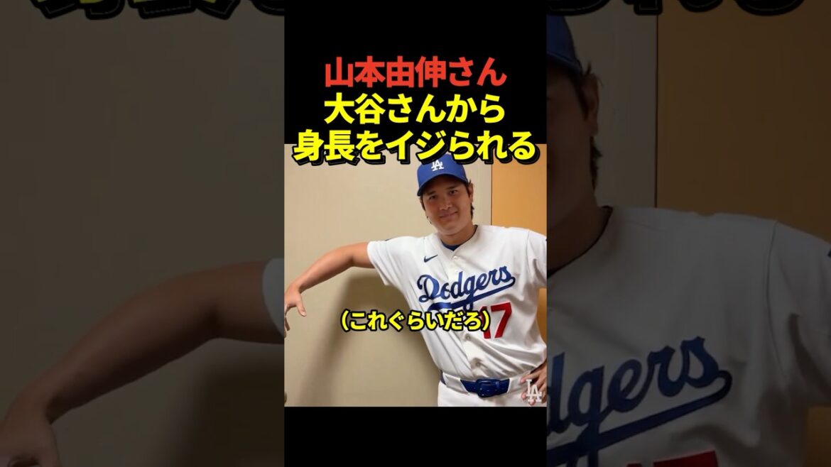 Pitcher Yoshinobu Yamamoto is teased about his height by pitcher Shohei Ohtani!