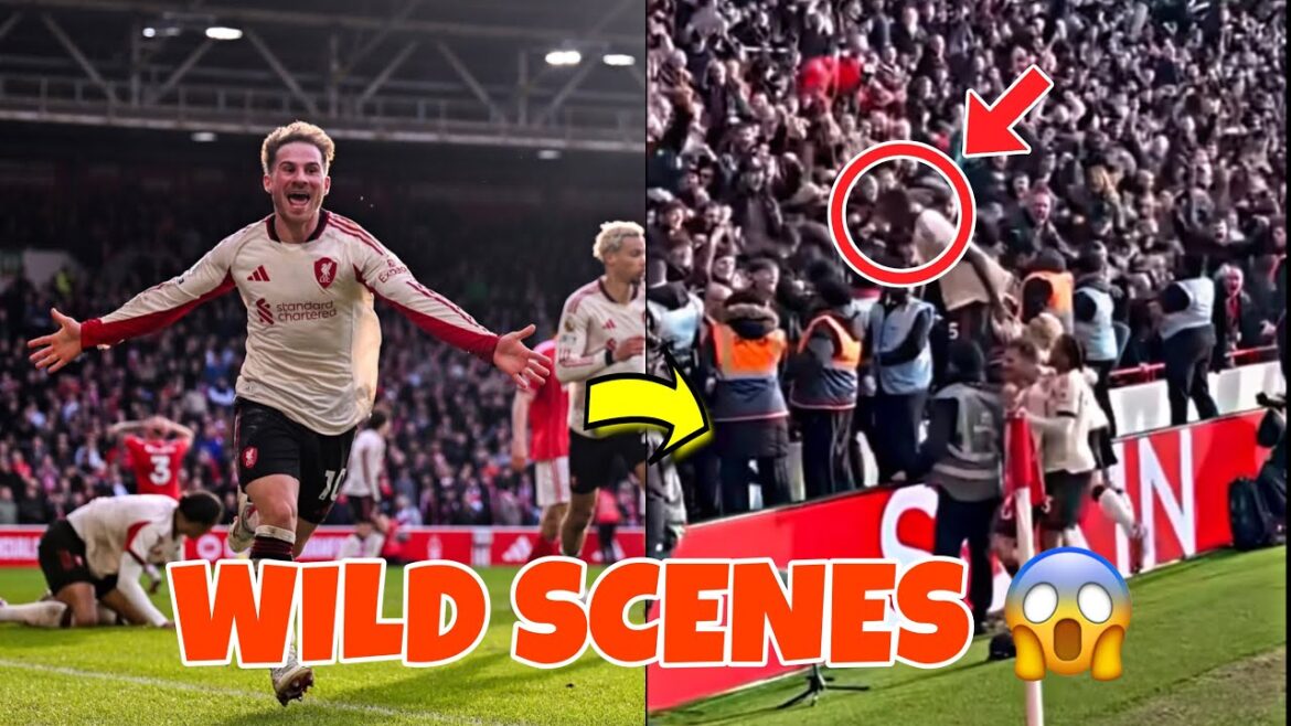 Wild Scenes After Alexis Mac Allister Scores Winner Vs Nottingham Forest 😱