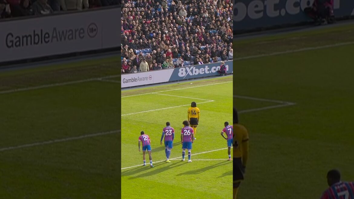 Best of Deano 🥰 #crystalpalace #palace #premierleaguehighlights Best of Deano 🥰 #crystalpalace #palace #premierleaguehighlights