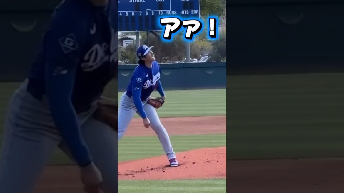 Shohei Otani will return to Japan tomorrow or the day after tomorrow! WBC I might throw it if that situation develops! Measured MAX 159 kg! Also considering the Olympics Shohei Otani will return to Japan tomorrow or the day after tomorrow! WBC I might throw it if that situation develops! Measured MAX 159 kg! Also considering the Olympics