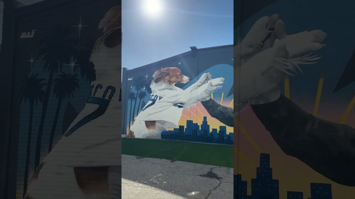 Pawradise Park created a mural of Shohei Ohtani and Decoy’s first pitch for their dog park 💙