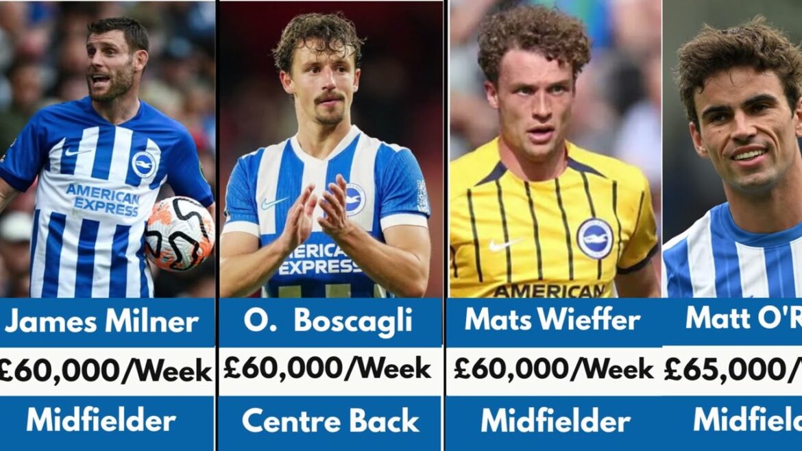 Brighton & Hove Albion Player Salaries 2025/26 – Full Wage Breakdown 💰⚽