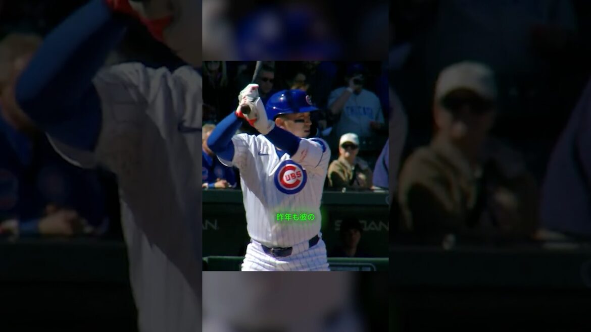 Seiya Suzuki hits a powerful shot in his first at-bat of spring! #Baseball #Seiya Suzuki #mlb