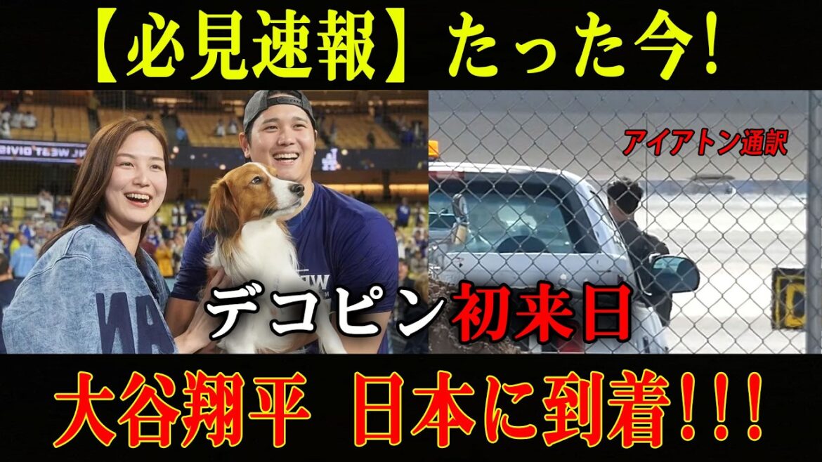 [Breaking news]Shohei Otani arrives in Japan on a chartered plane, accompanied by his wife Mamiko and daughter, joining Samurai Japan on Dekopin's first visit to Japan!