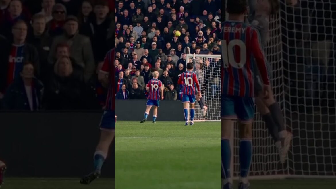 THAT Henderson Save 🧤 #premierleague #cpfc #wolverhampton